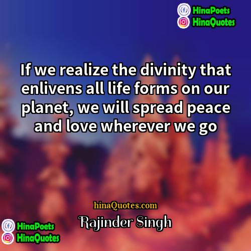 Rajinder Singh Quotes | If we realize the divinity that enlivens